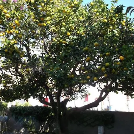 L'arancio דירה *