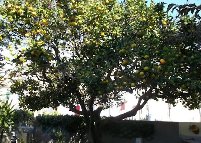 L'arancio דירה מרינה די קמפו